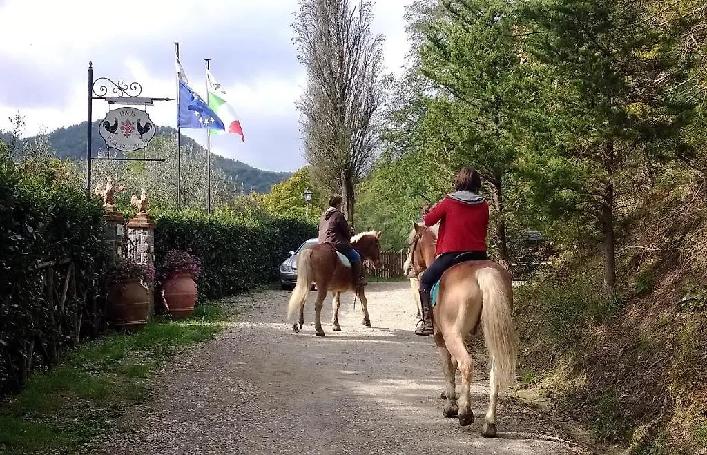 B&B Podere Cerreta 0*, San Godenzo